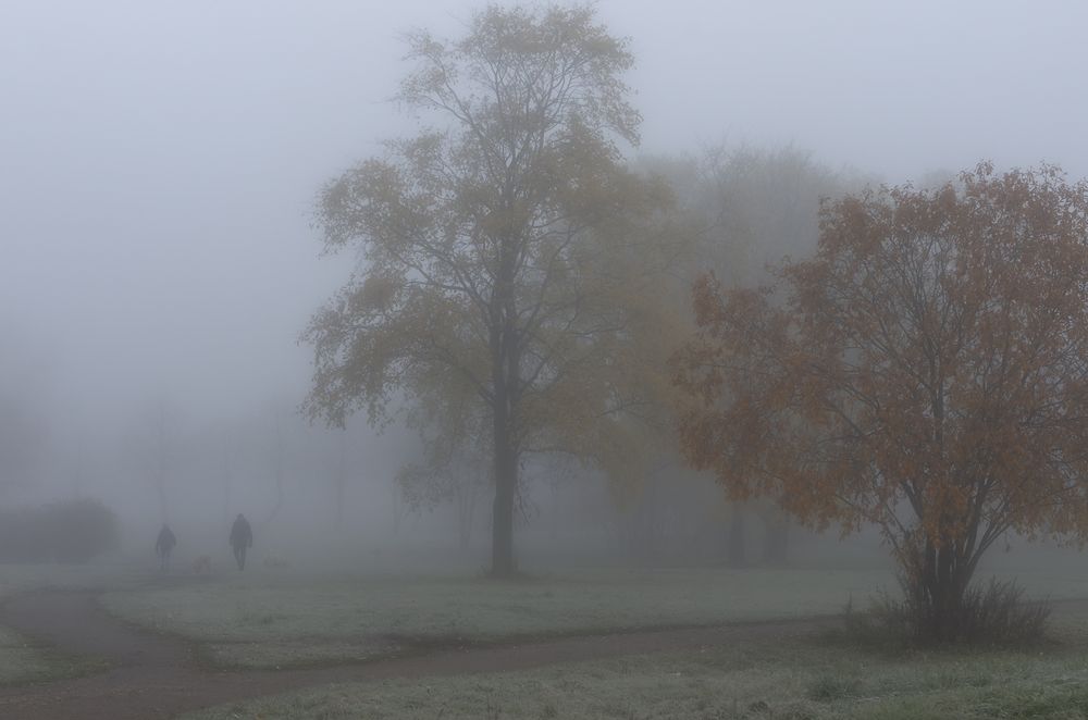 В осеннем тумане