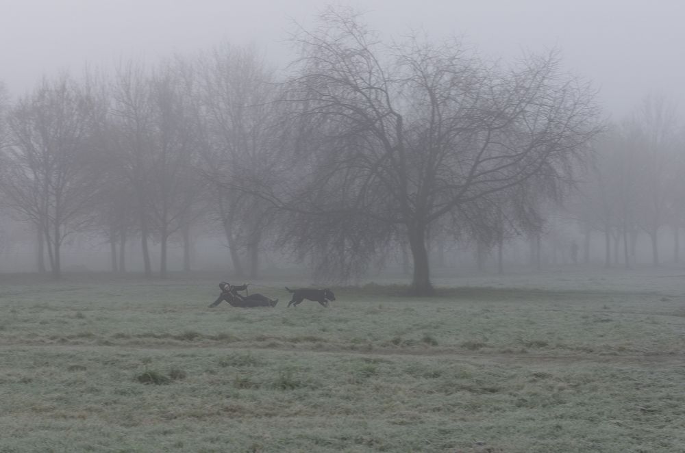 Прогулялись...