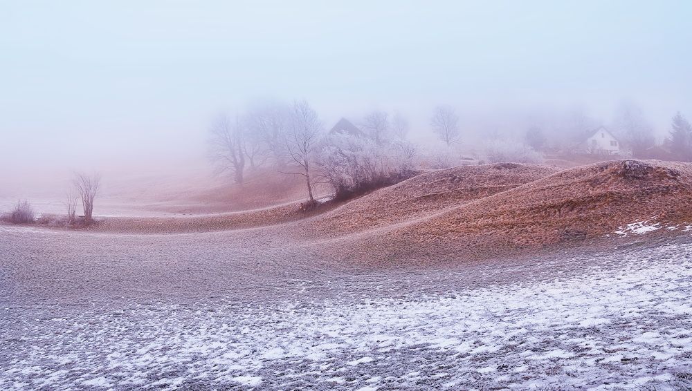 Photograph by Elena Wymann