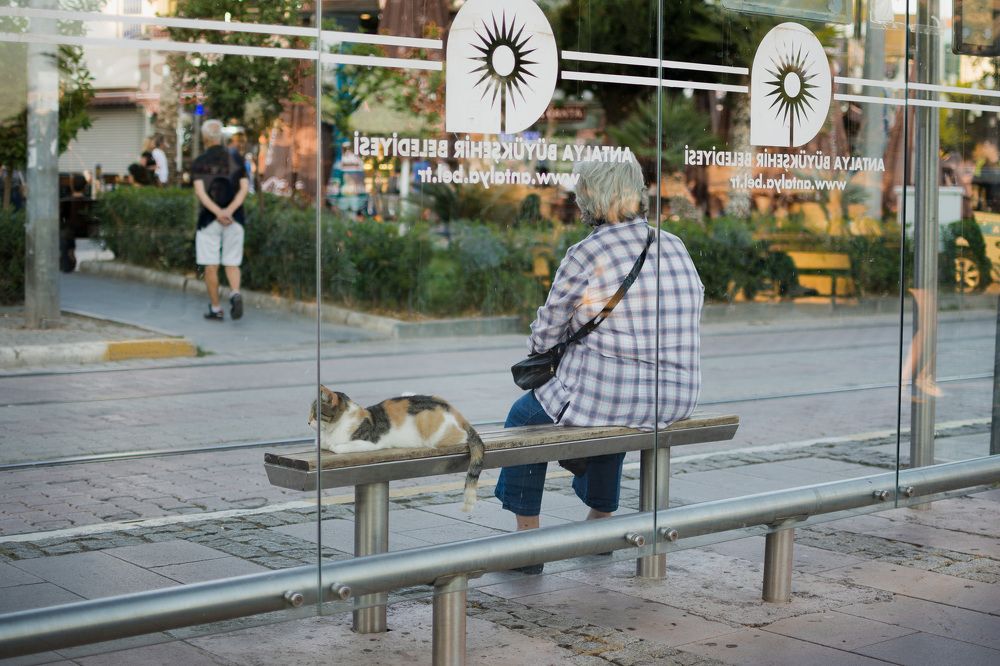 Photograph by Наталья Кокорина