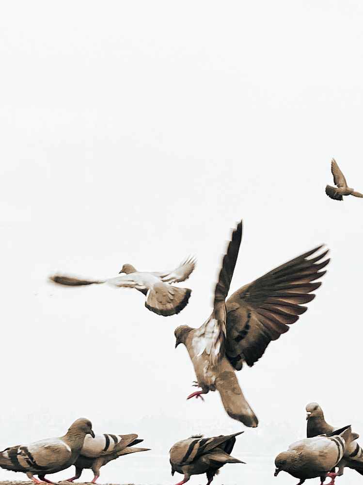 Photograph by Nadeem rza