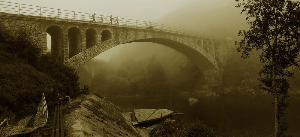 Photograph by Светлана Борозенцева