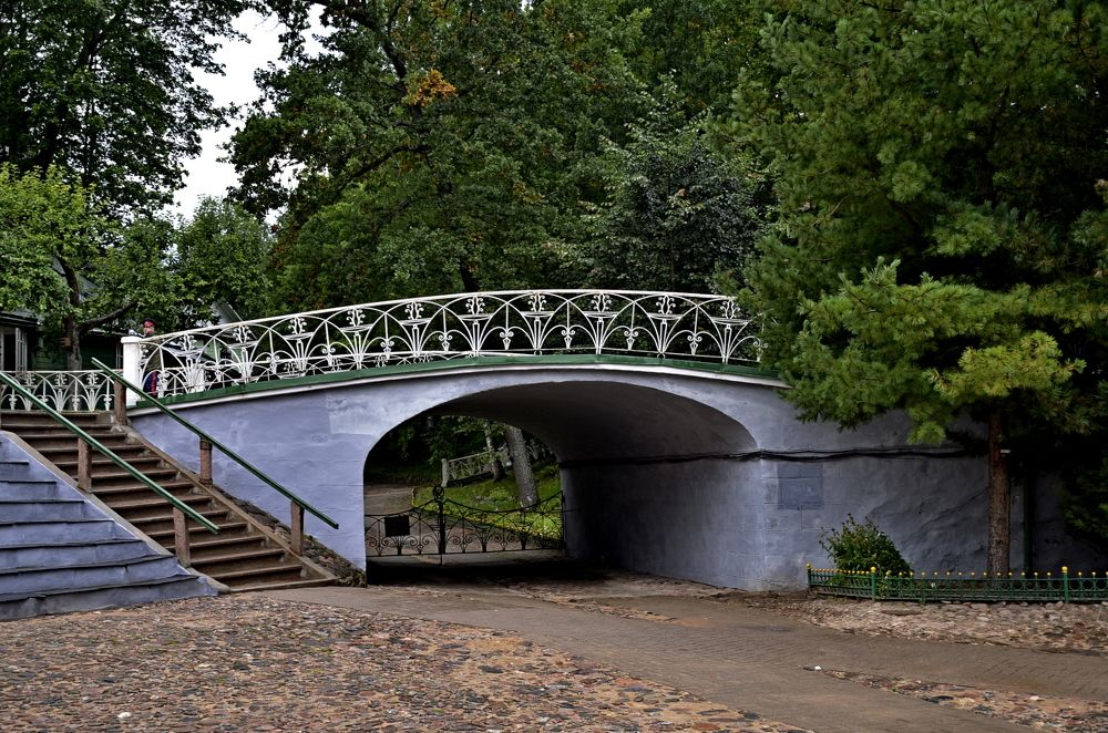 Фотография автора Stevo Dragić