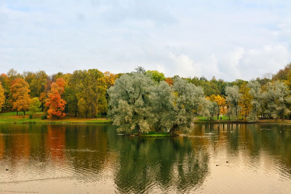 Photograph by Marina Ivanova