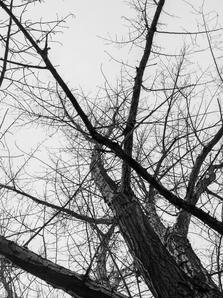 Photograph by Анна