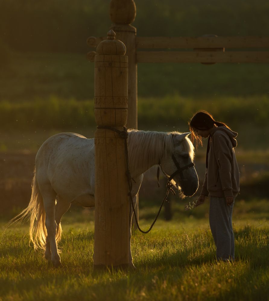 Фотография автора Дмитрий Ляшеев