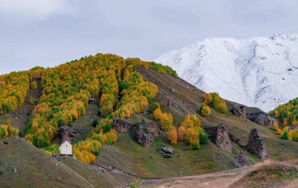 Photograph by Ламара Авалишвили