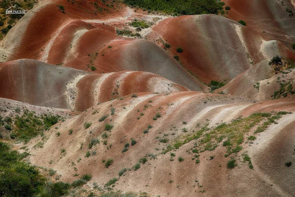Photograph by Ламара Авалишвили