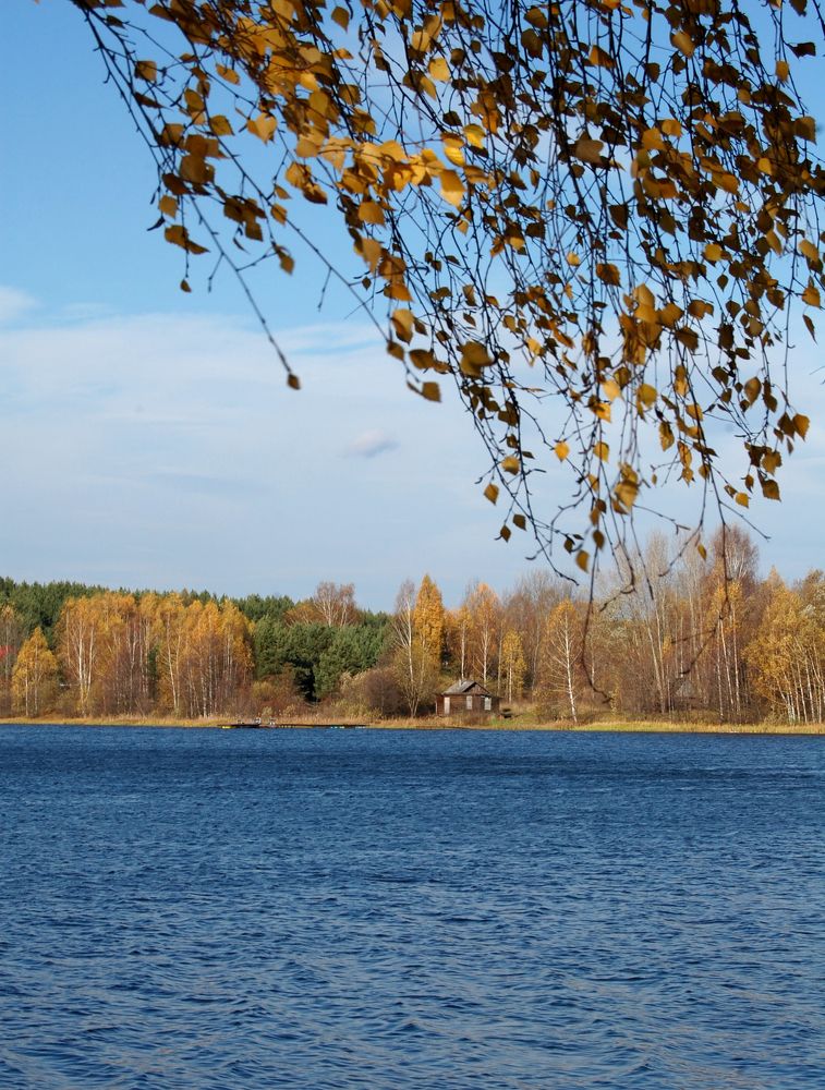 Photograph by Майя Синичкина