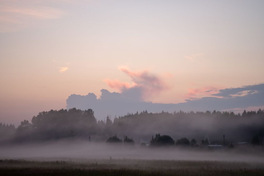 Photograph by Михаил Серебренников