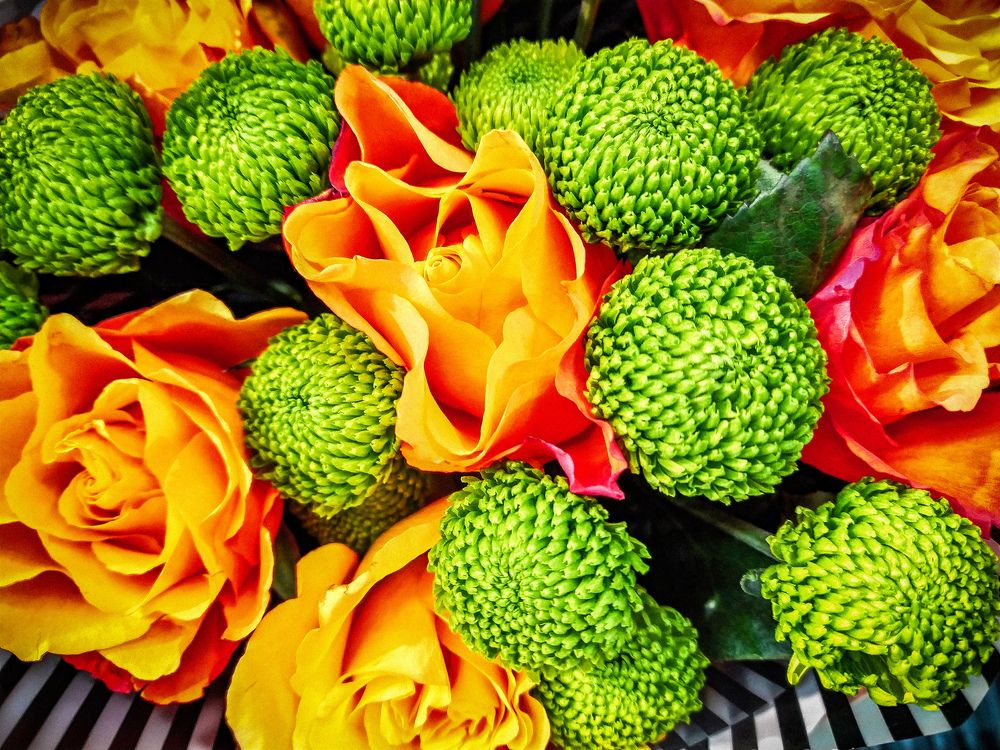 Photograph by Marina