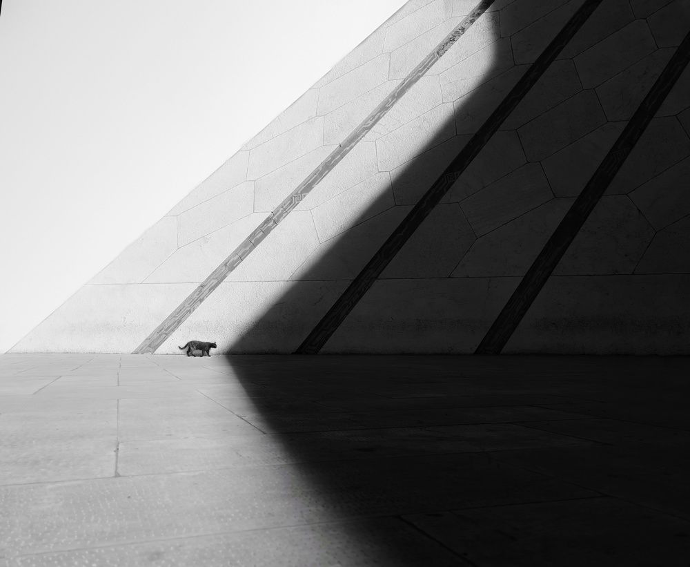 Photograph by Mohammad Jalilzadeh