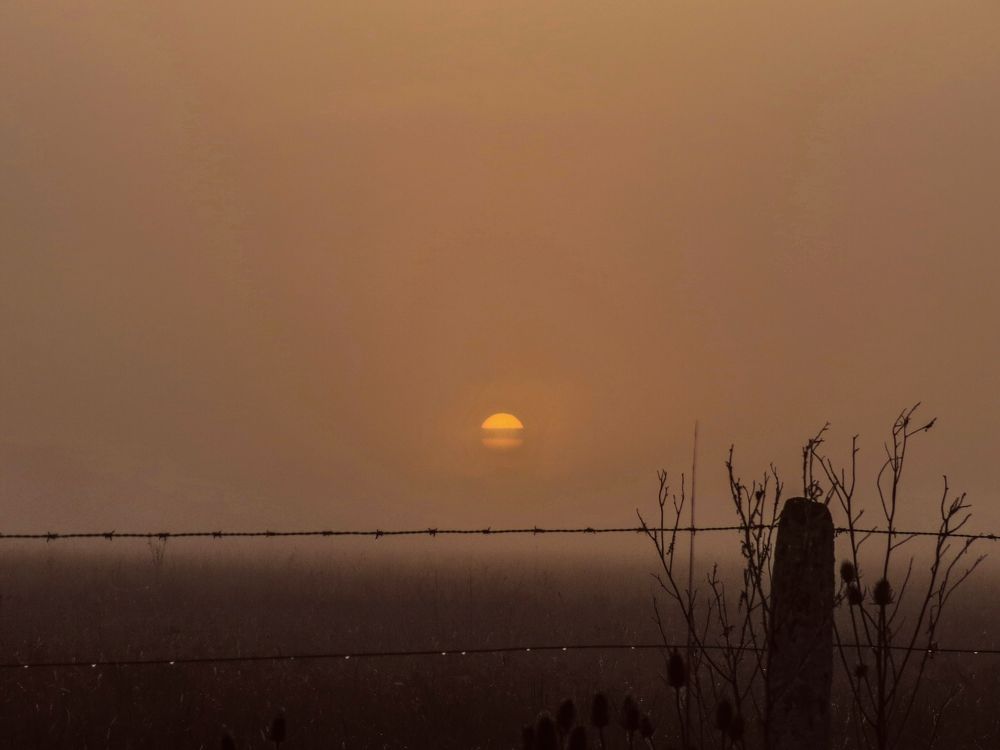 Photograph by Viviana García