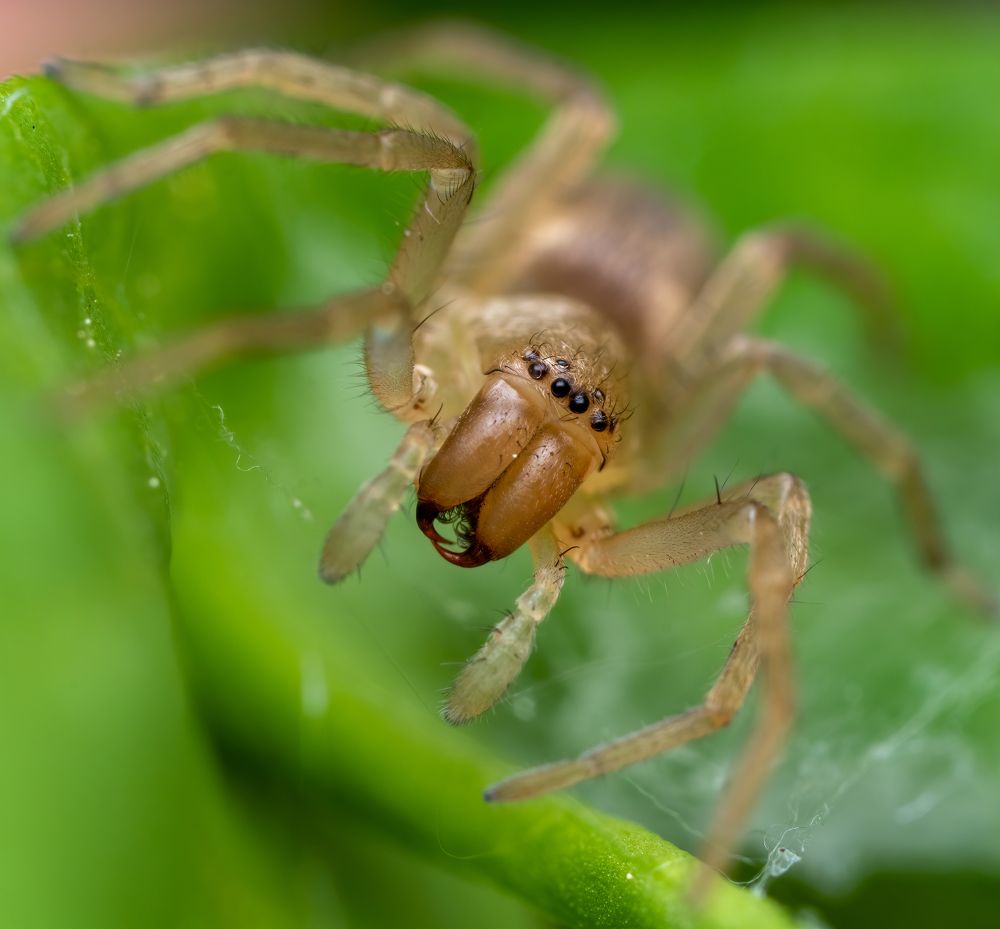 Photograph by Глеб Коровко