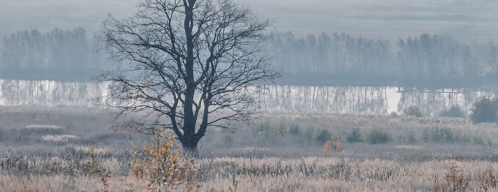 Фотография автора Александр Сальников