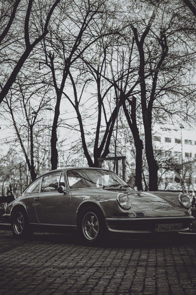 Photograph by Maxim Ghervas