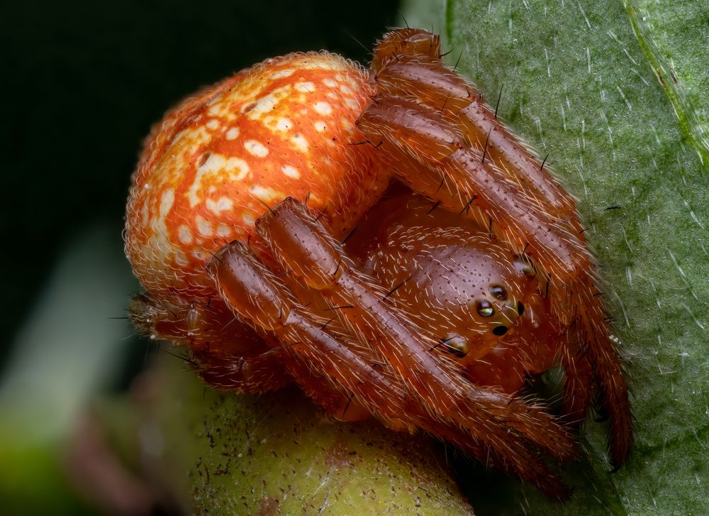 Photograph by Глеб Коровко