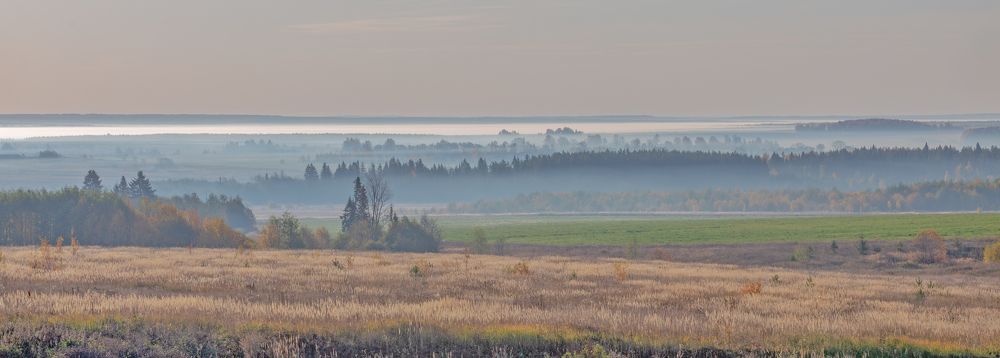 Фотография автора Александр Сальников