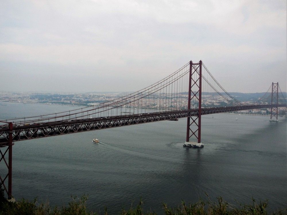 Photo #6779701