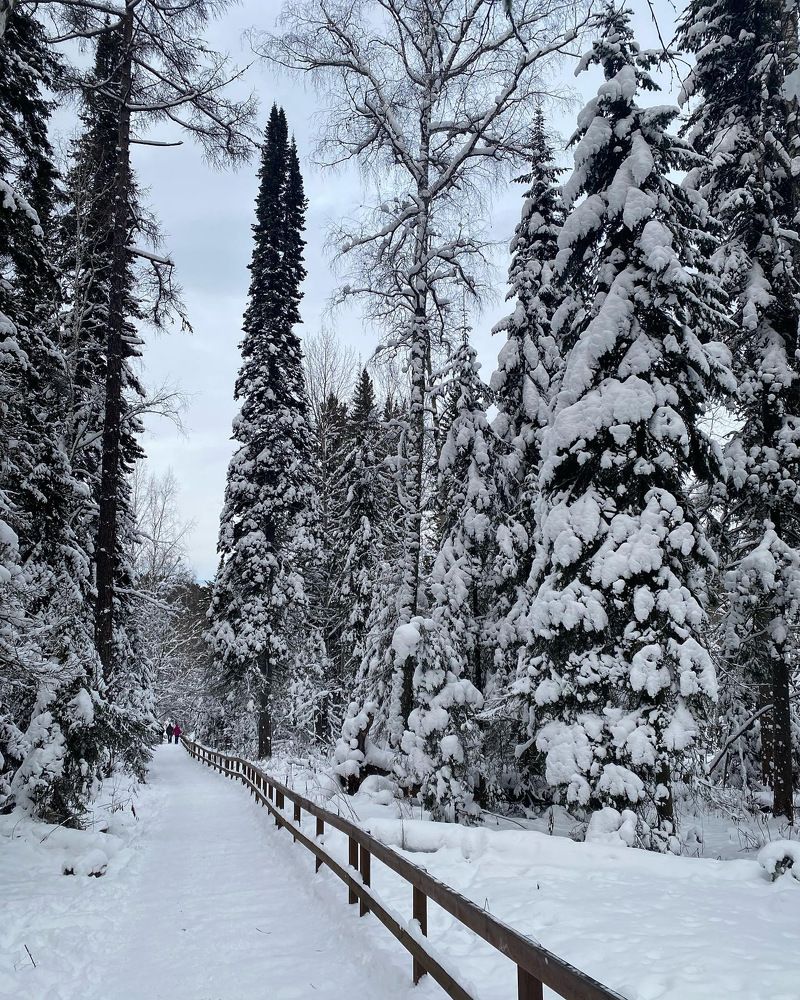 Photograph by Татьяна