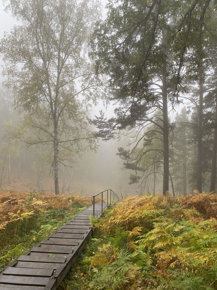 Photograph by Татьяна