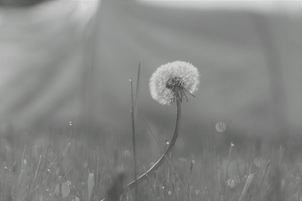 Photograph by Родосская Нонна