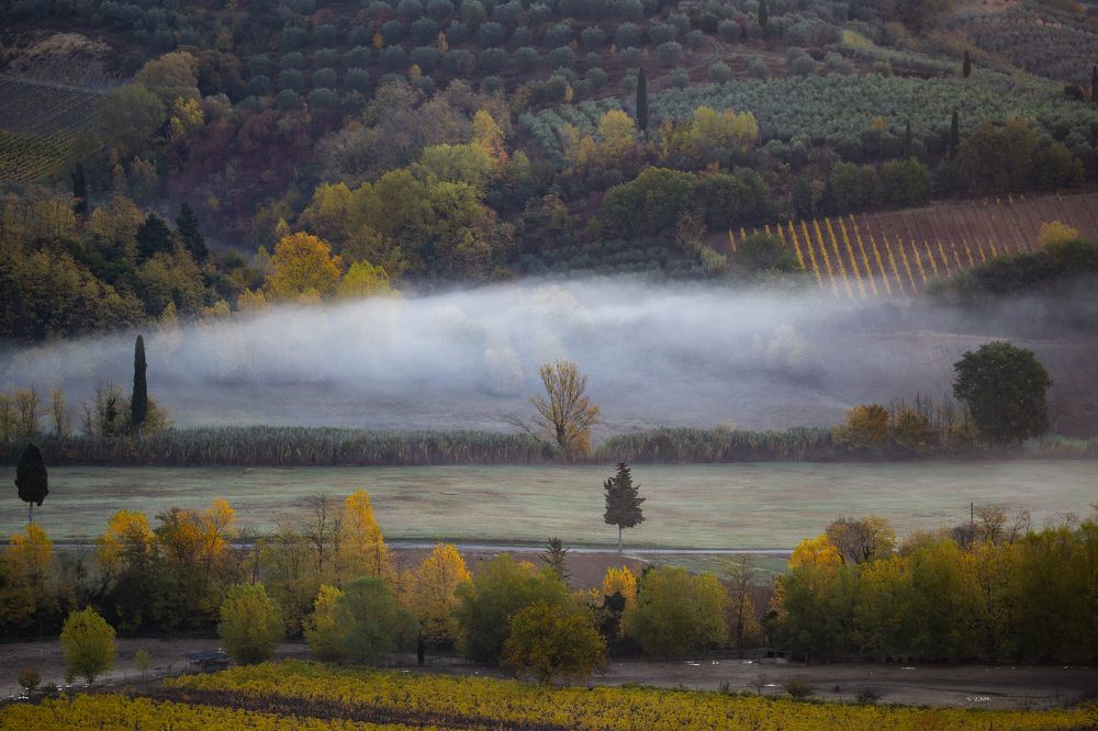 Photograph by Dzintra Zvagina