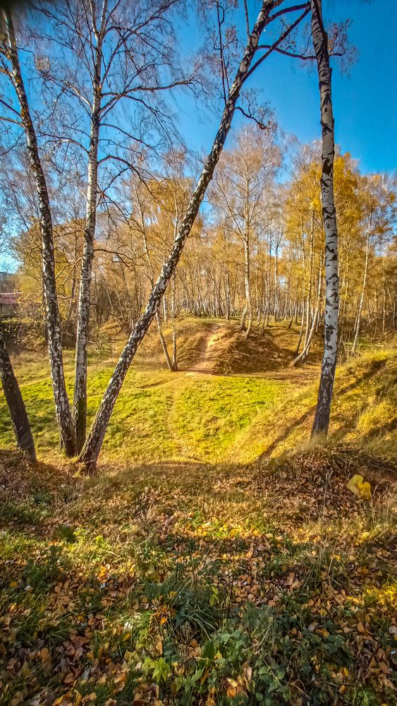 Photograph by Светлана Гутник