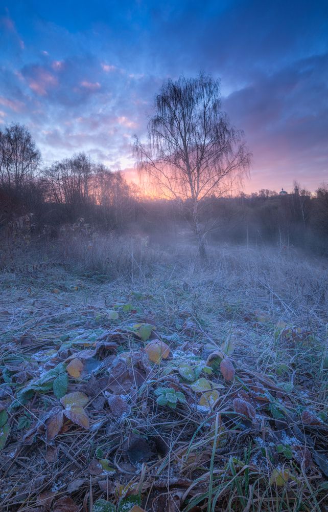 Photograph by Семён Кузнецов