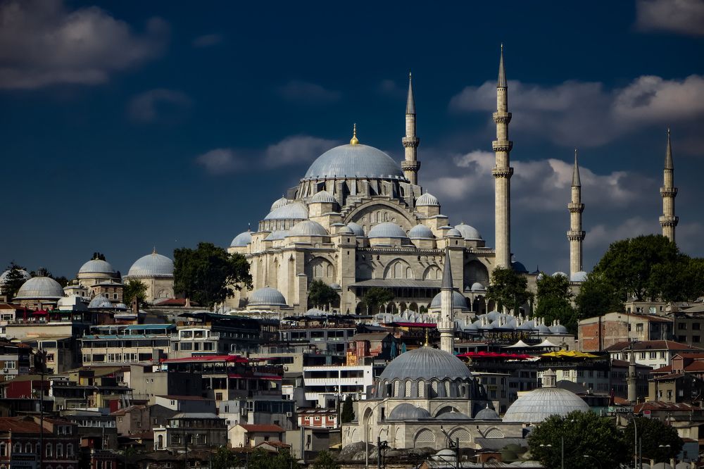 Photograph by Darya Vega