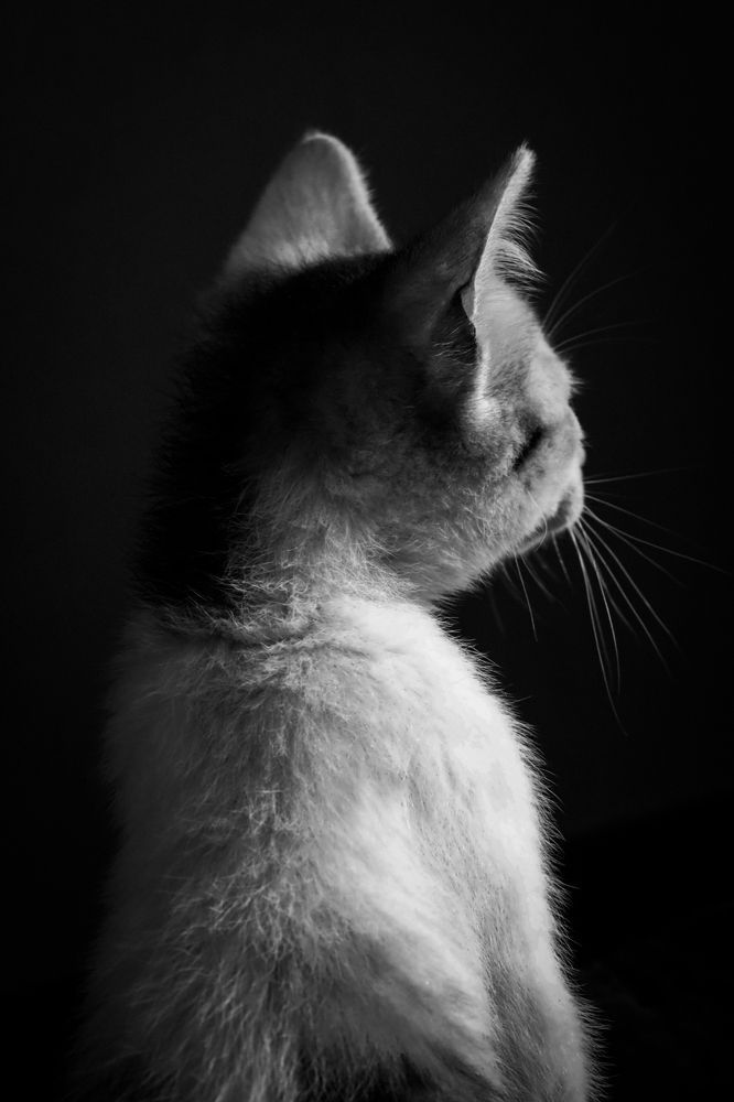 Photograph by Karla Makuc