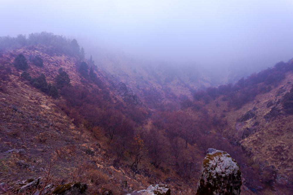 Photograph by Александр Коблов