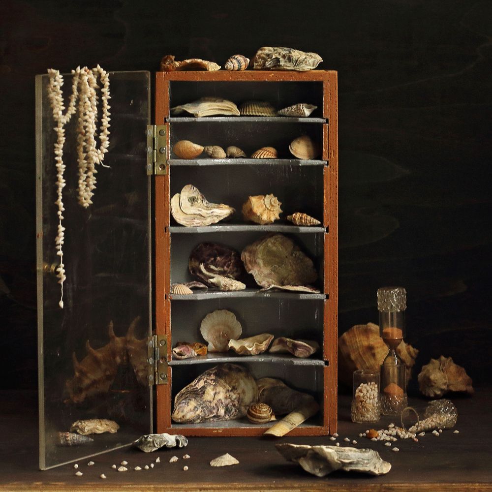 Фотография автора ТАТЬЯНА ЗАХАРОВА