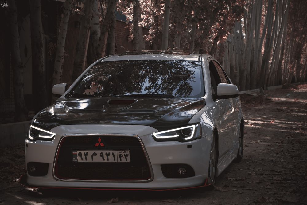 Photograph by Reza Mohammadi