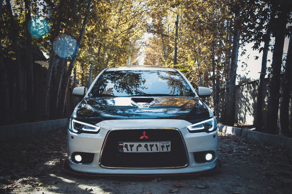 Photograph by Reza Mohammadi