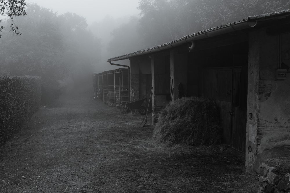 Photograph by Evgenia Shtreys