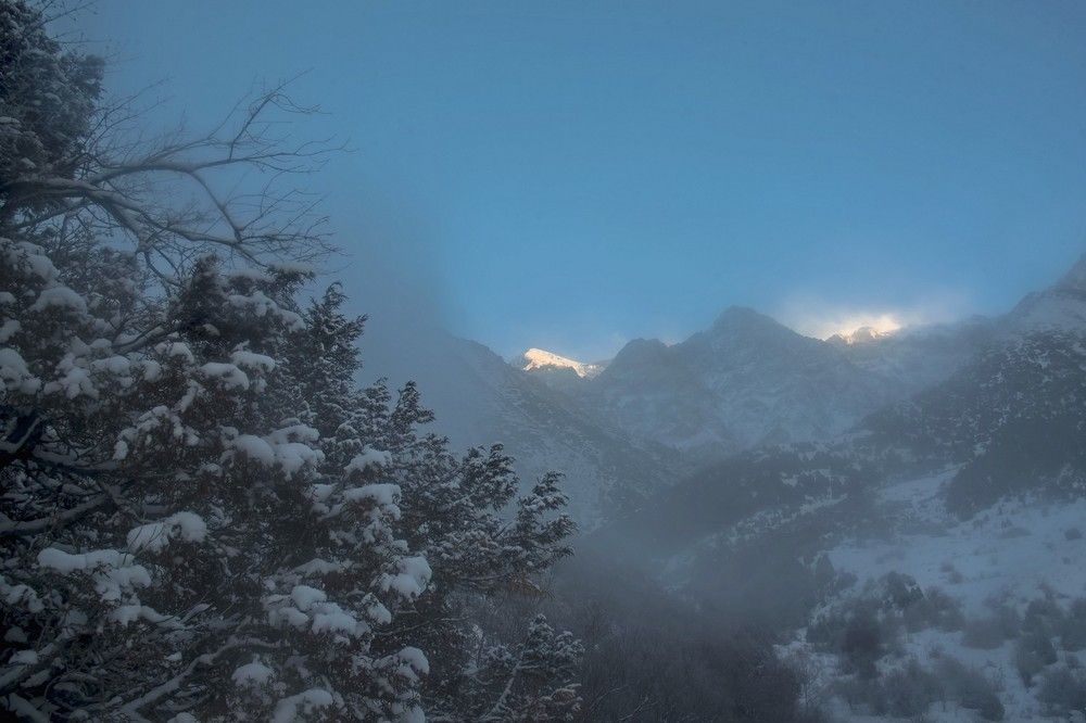 Photograph by Александр Грищенко