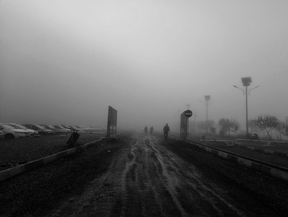 Photograph by minta samiei