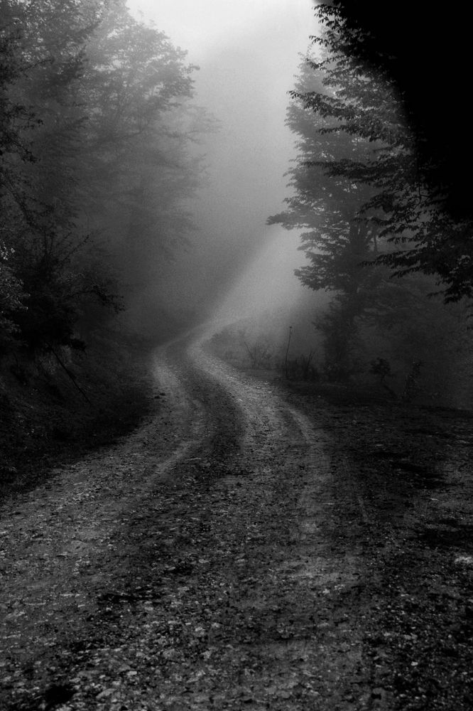 Photograph by minta samiei