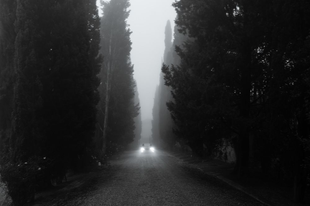 Photograph by Evgenia Shtreys