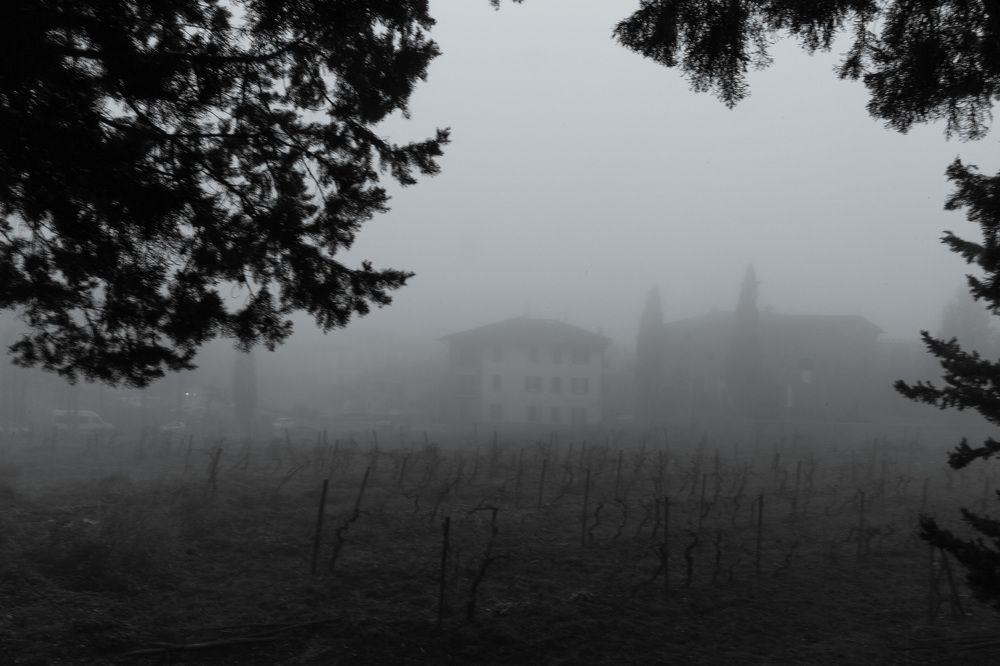 Photograph by Evgenia Shtreys