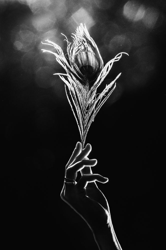 Photograph by Алексей Михайлов