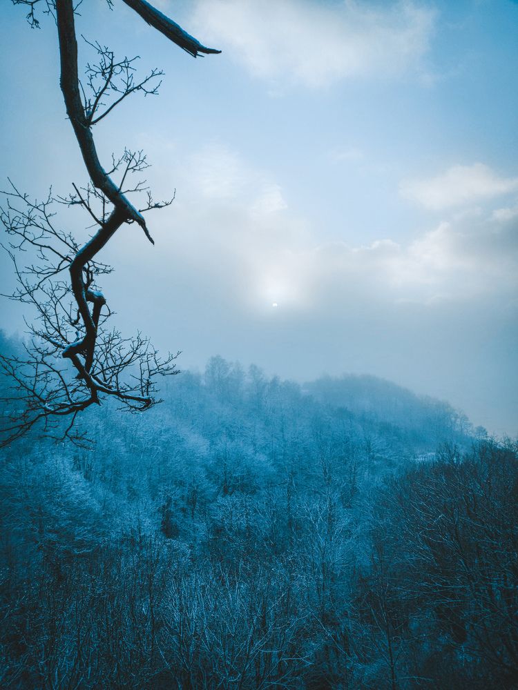 Photograph by Сергей Кутинский