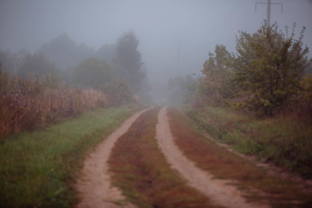 Photograph by Ольга Гаврилова