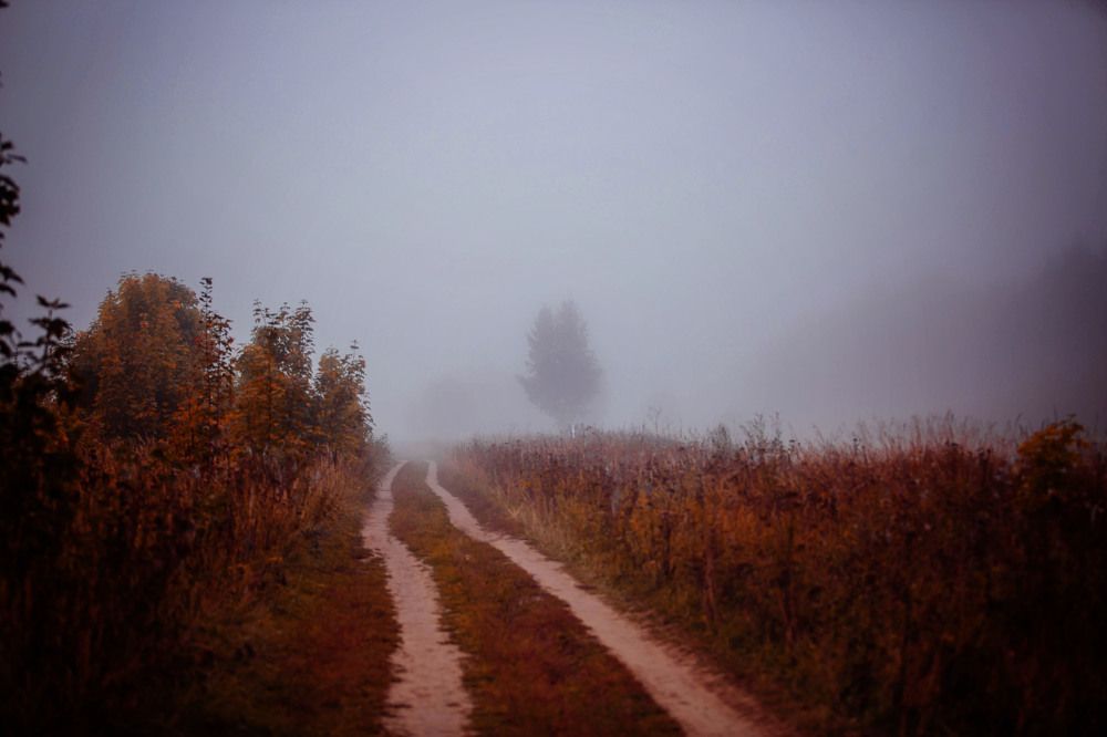 Photograph by Ольга Гаврилова