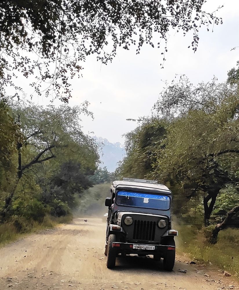 Photograph by Ritu Dinkar