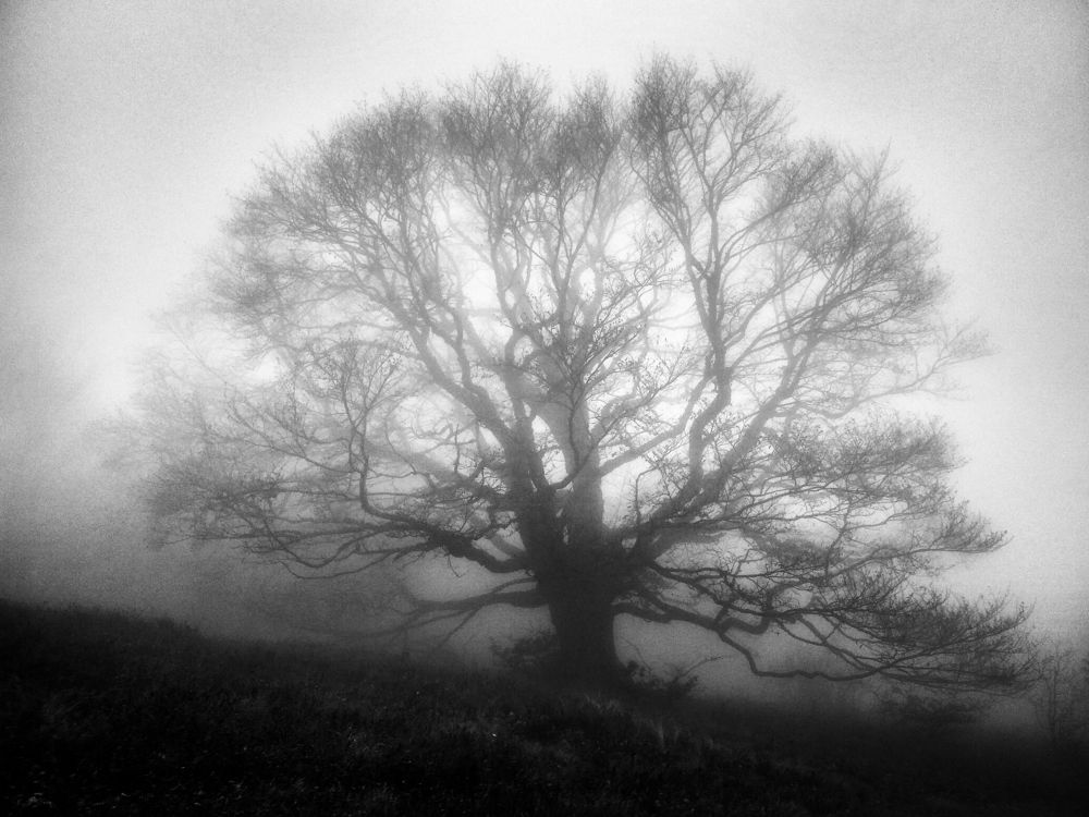 Photograph by Артём