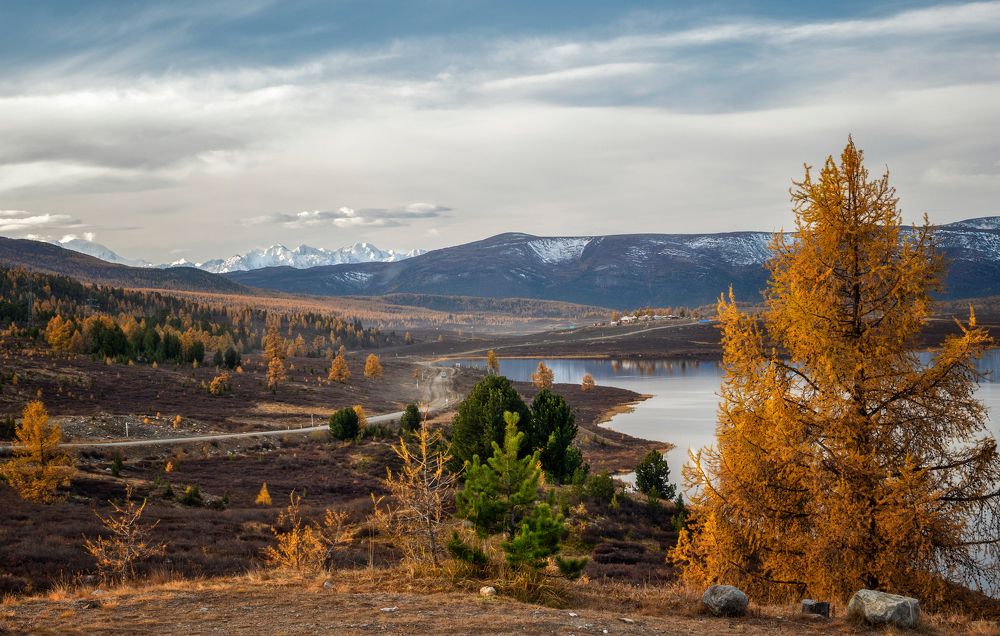 Photograph by lora_pavlova