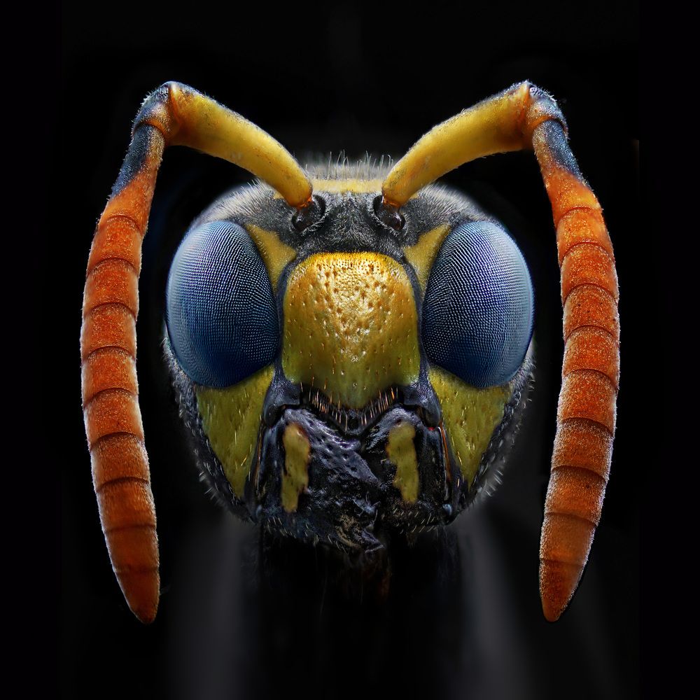 Photograph by Eduardo Modolo