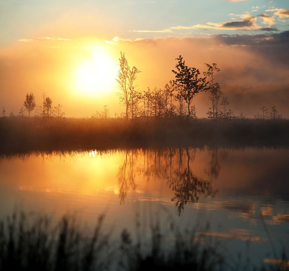 Photograph by Олег Фокин